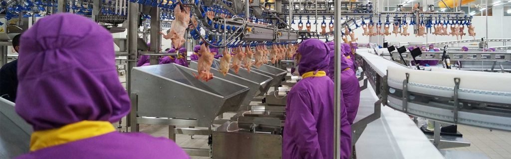 Kesimhane üretim hattında çalışan ekip